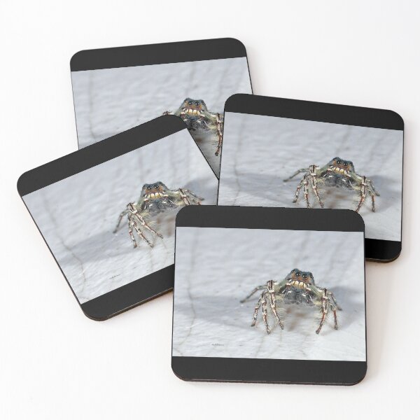 Item preview, Cute Jumping Spider Checking Things Out designed and sold by mark-bugs-org.