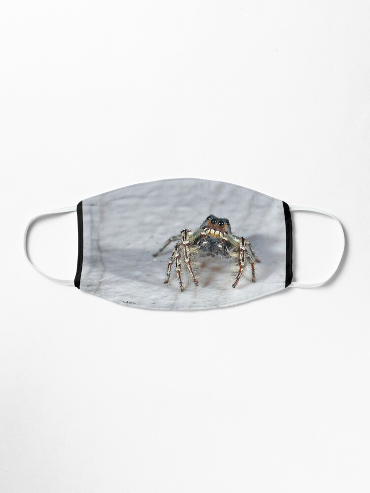 Alternate view of Cute Jumping Spider Checking Things Out Mask