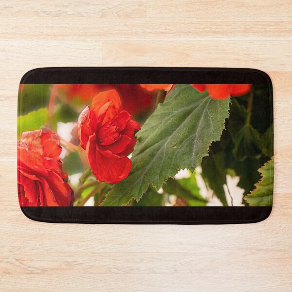 Item preview, Begonia rossa e verde di Spello designed and sold by PepperMendez.