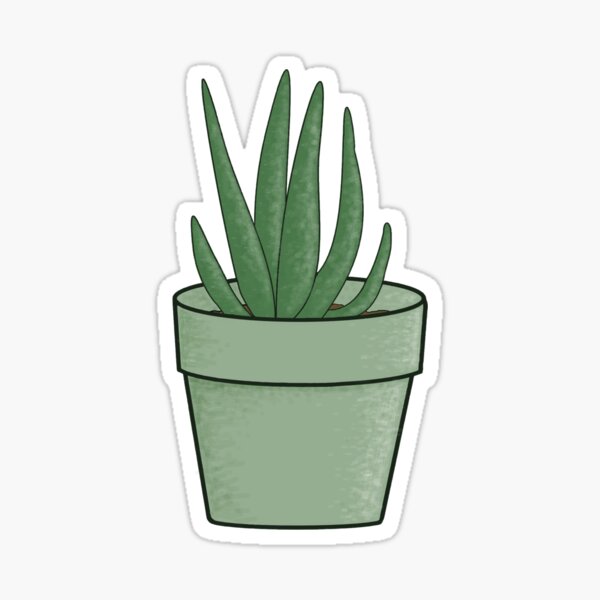 Cute Aloe Vera in Pot Car Laptop Phone Vinyl Sticker SELECT SIZE