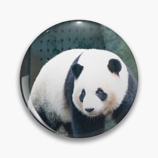 Item preview, Giant Panda Jigsaw Puzzle designed and sold by Printoncate.