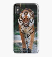 Tiger iPhone Case/Skin