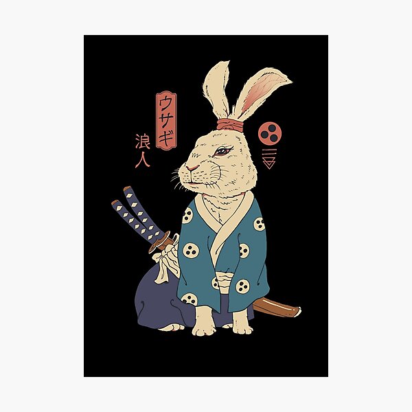Ronin Usagi Photographic Print