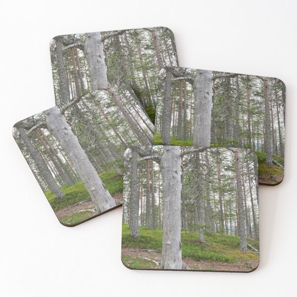 Item preview, Too old to live too young to fall designed and sold by Jouko Lehto Photography.