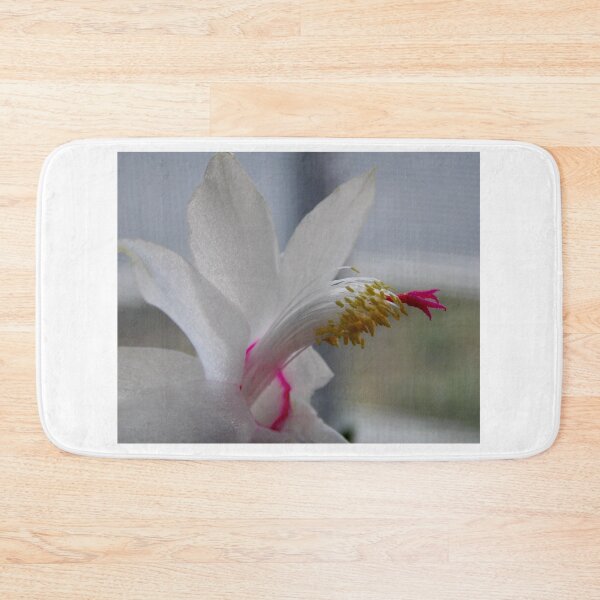 Item preview,   Amazing Flowering Cactus --  Schlumbergera - Photography by BranaghBel designed and sold by BranislavaBT.
