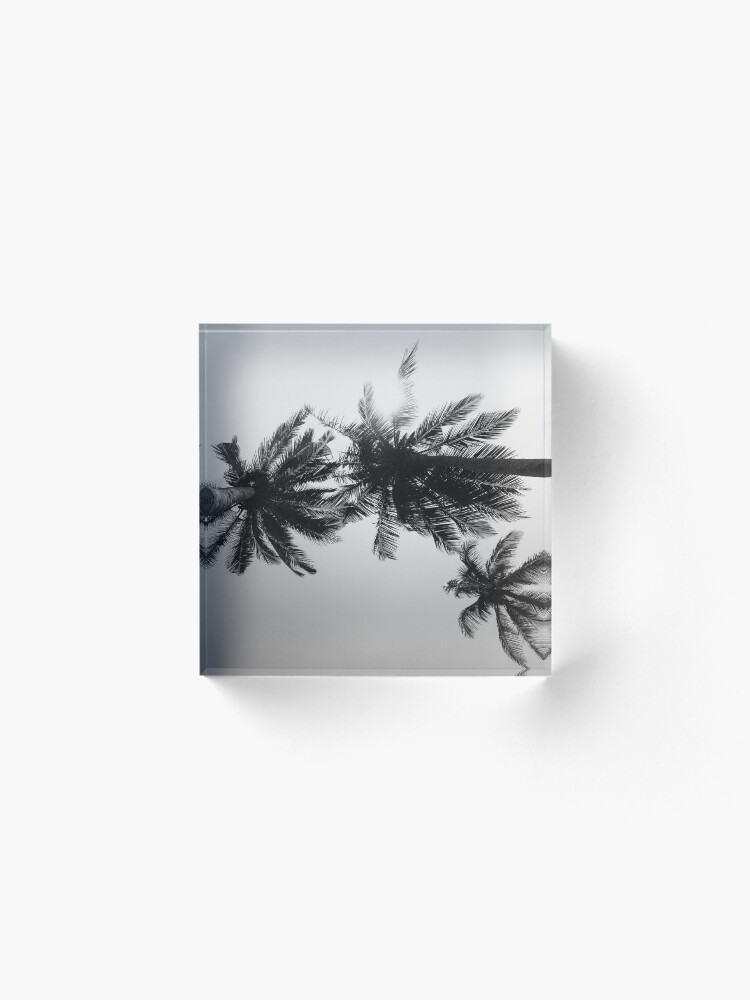 Alternate view of Palmtree black&white Acrylic Block