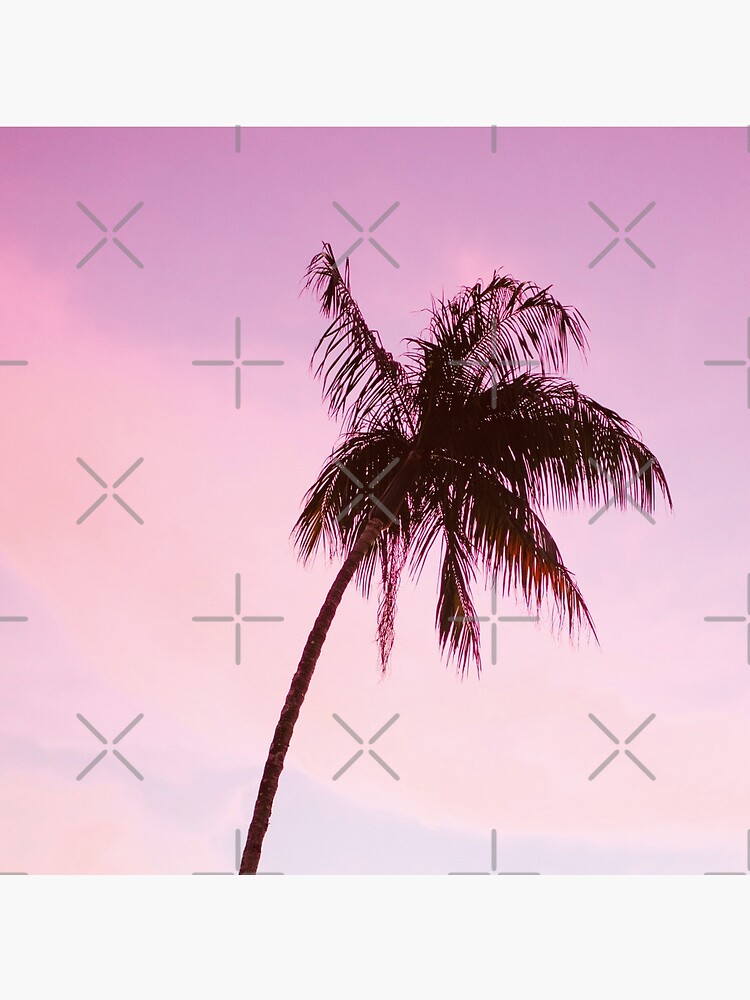 Palmtree pink by ColorsHappiness