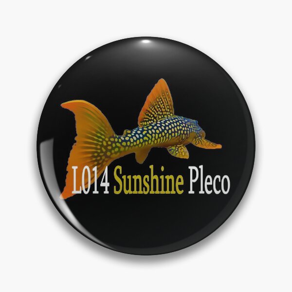 Item preview, Sunshine Pleco Shirt designed and sold by GFishy.