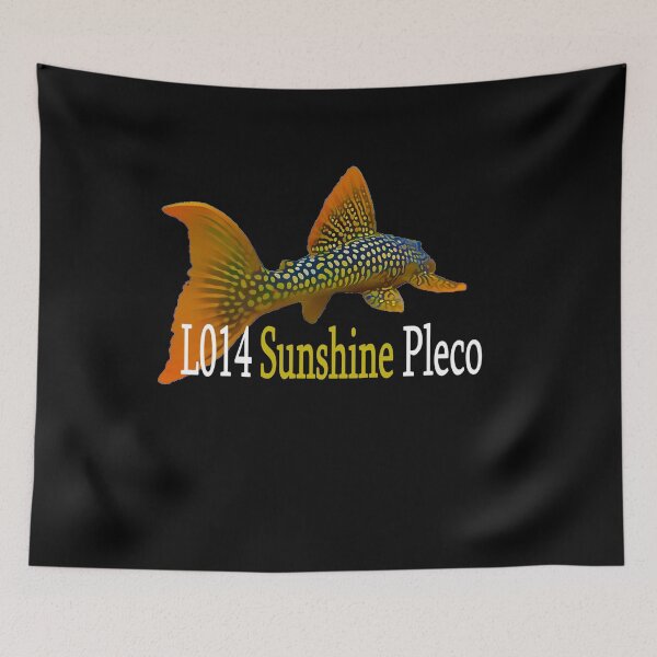 Item preview, Sunshine Pleco Shirt designed and sold by GFishy.