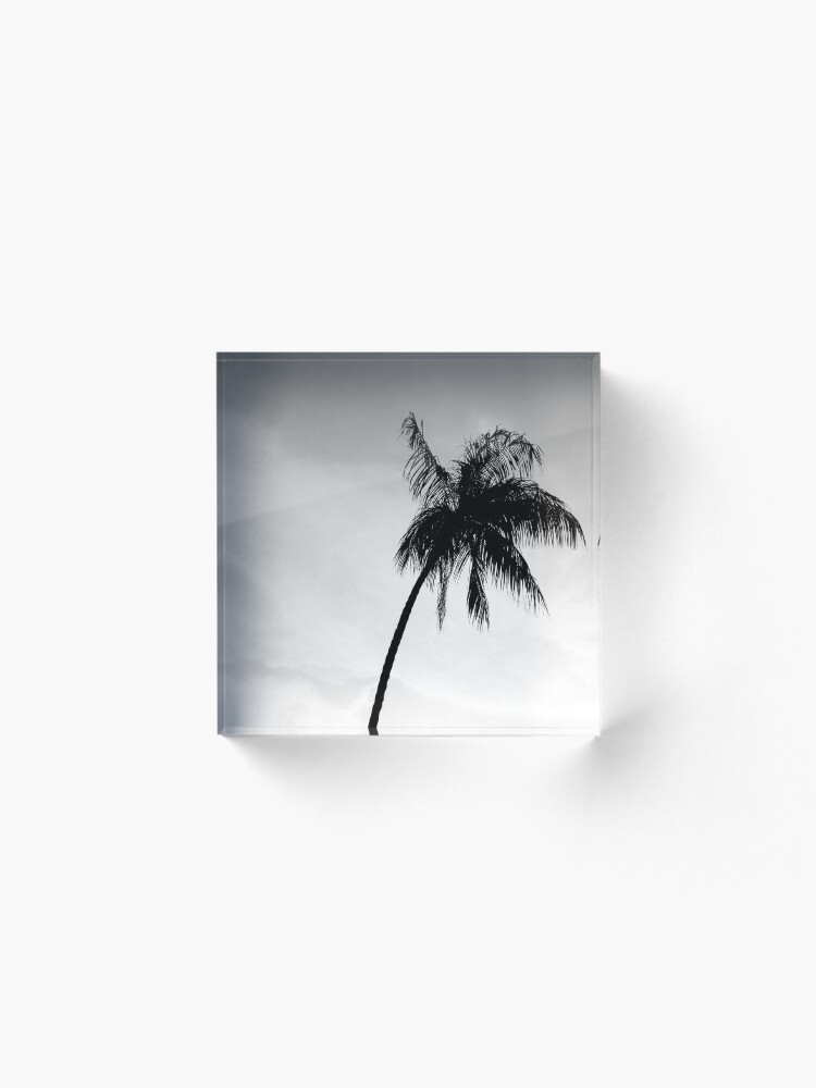 Alternate view of Palmtree black&white Acrylic Block