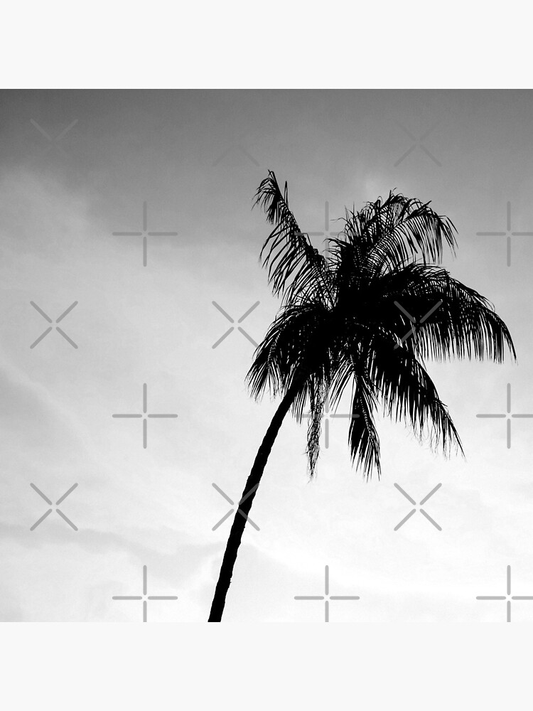 Palmtree black&white by ColorsHappiness