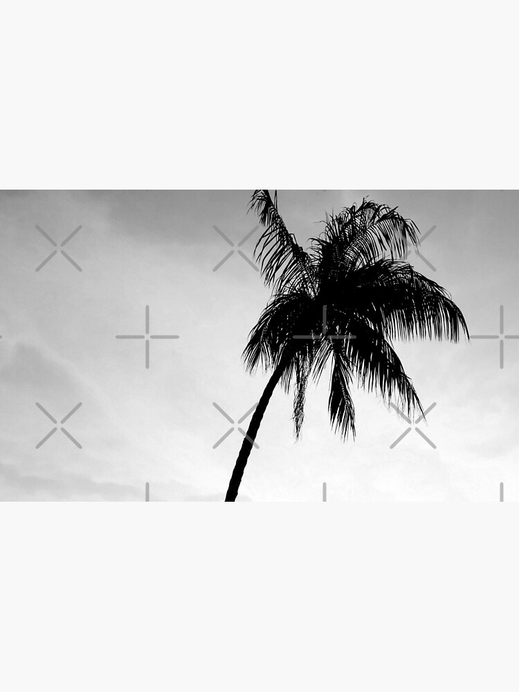 Palmtree black&white by ColorsHappiness