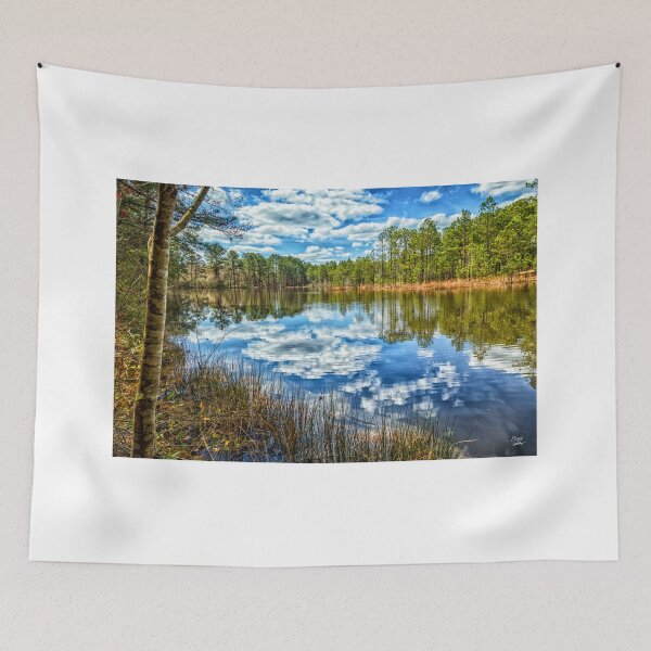 Item preview, Pond on Newtown Road designed and sold by GestaltImagery.
