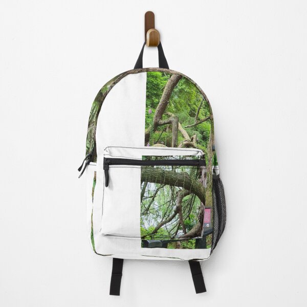 Item preview, The weeping Larch Kelburn Estate, Fairlie, Largs designed and sold by Scottish Photography .
