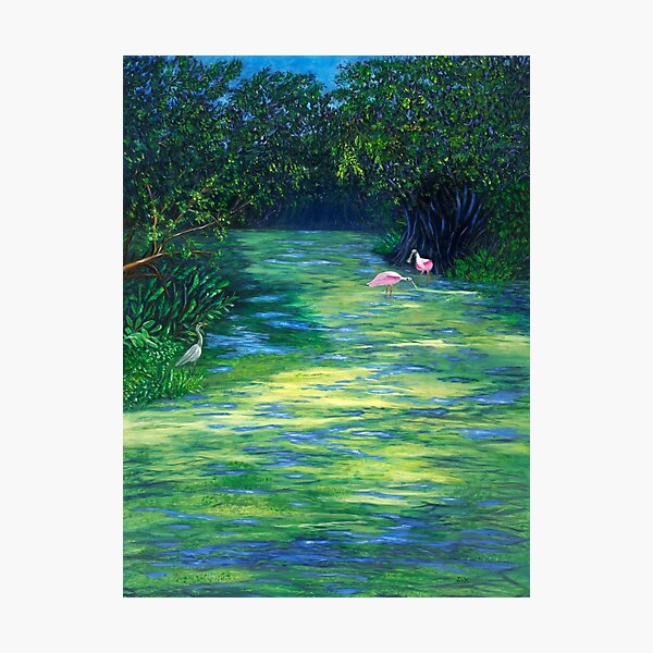 Item preview, Loxahatchee Wildlife Refuge. Mossy River with Roseatte Spoonbills and Herons. designed and sold by KarenZuk.