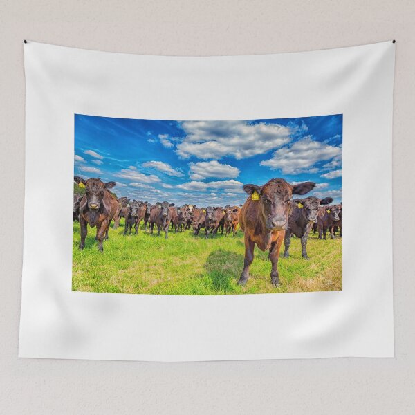 Item preview, Cattle in a Pasture designed and sold by GestaltImagery.