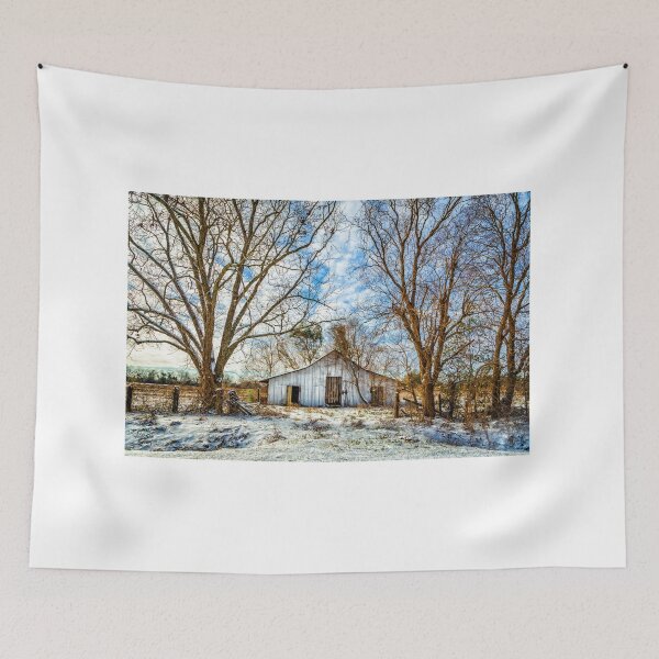 Item preview, Shed on Brooklet-Denmark Road designed and sold by GestaltImagery.