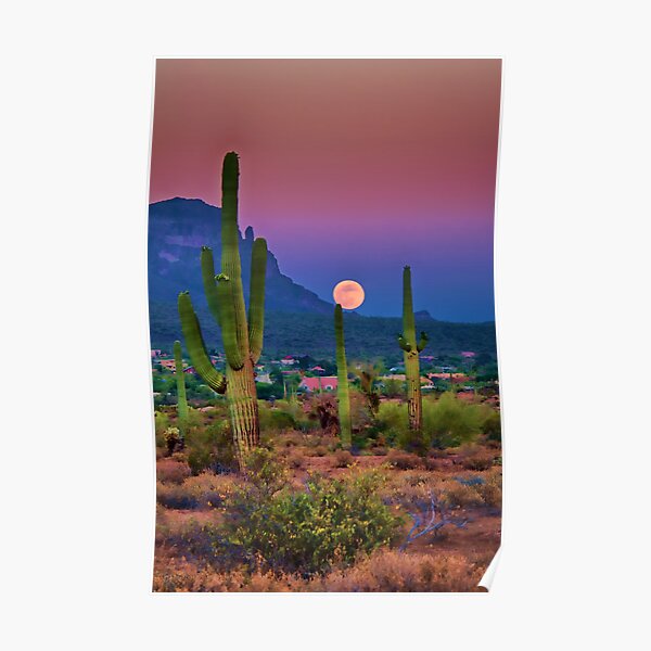 Postcard Perfect Arizona Poster