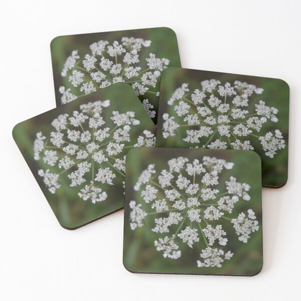 Item preview, Queen Anne's Lace designed and sold by Robin-Goldman.