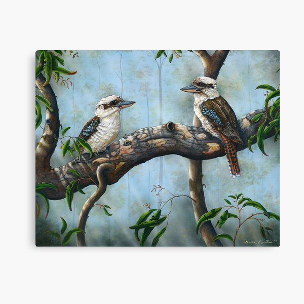 kookaburra Canvas Print