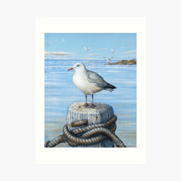 Sea Gull Art Print