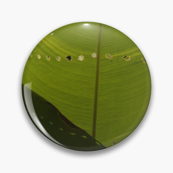 Item preview, Carefully Eaten Leaf designed and sold by TinyCameraNinja.