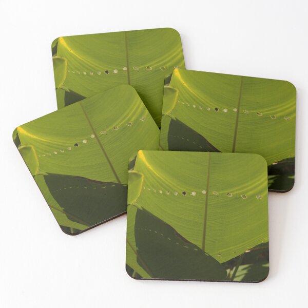 Item preview, Carefully Eaten Leaf designed and sold by TinyCameraNinja.