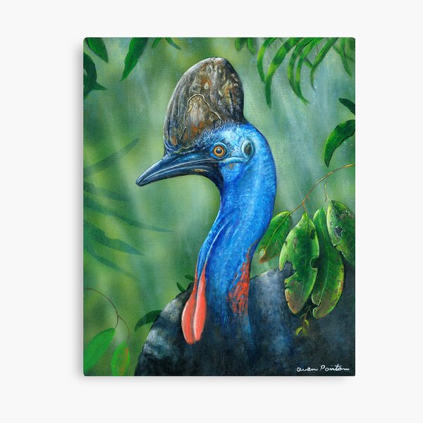 Sothern Cassowary ( endangered Species ) Canvas Print