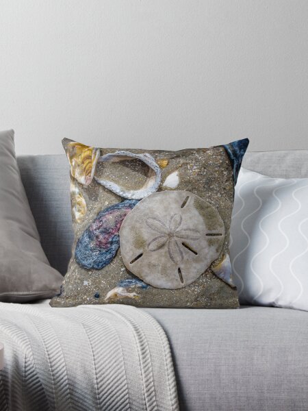 Artikel-Vorschau von Sanddollar am Edisto Beach, designt und verkauft von GestaltImagery.