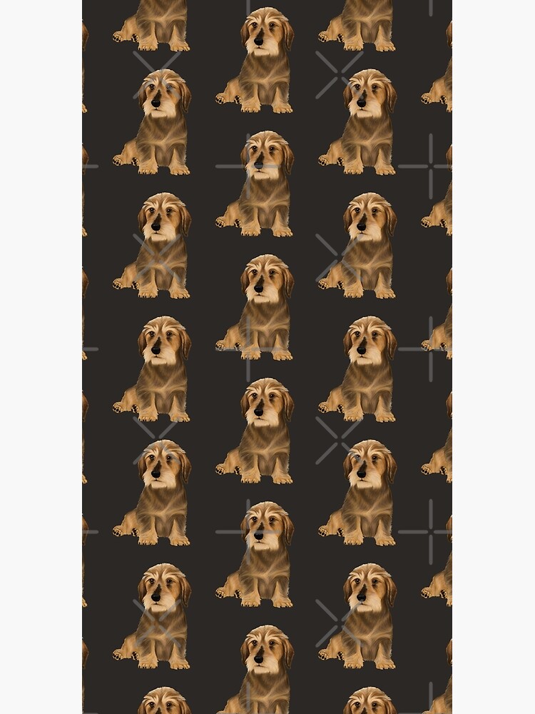 Wirehaired Dachshund sitting dog by Mehu