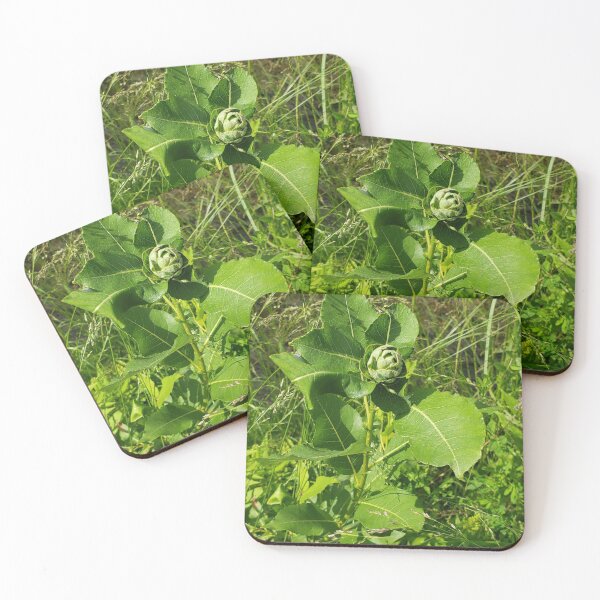 Item preview, Poplar rose designed and sold by Kim-Pratt.