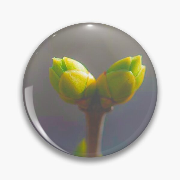 Item preview, Two buds of a plant designed and sold by boogeyman.