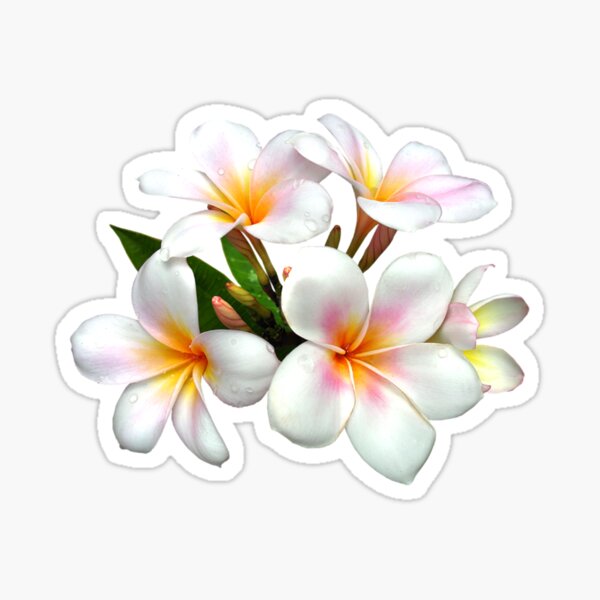 Item preview, Cherry Blossom designed and sold by Designs By Creation.