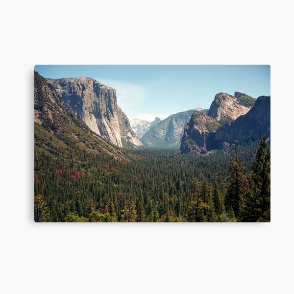 Yosemite Valley Canvas Print