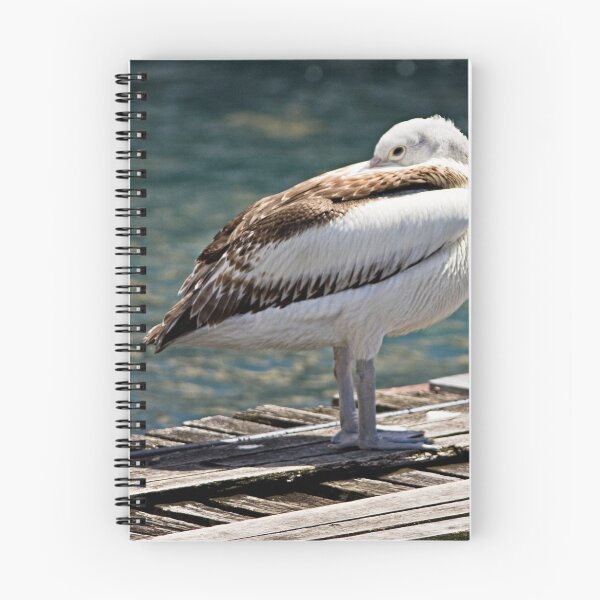 Item preview, Pelican having a rest (in Batemans Bay/NSW/Australia) designed and sold by Wolf Sverak Photography.