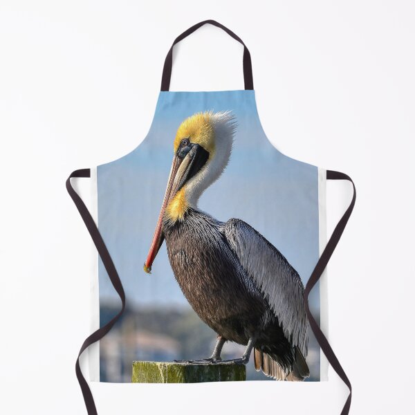 Item preview, Brown Pelican designed and sold by Kathy Baccari.