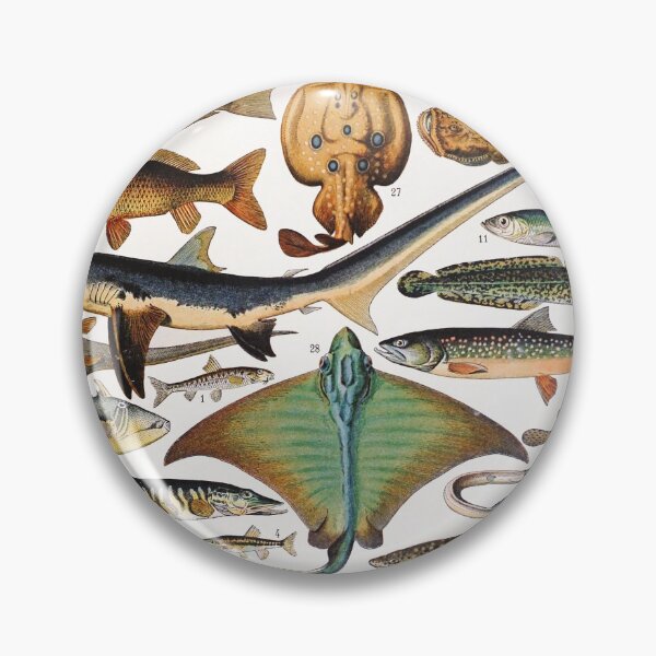 Item preview, Adolphe Millot - Poissons A - French vintage nautical poster designed and sold by DejaVuStudio.