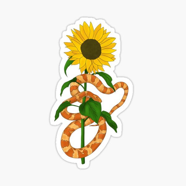 Regalos y productos: Girasol Albino | Redbubble