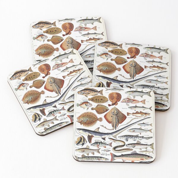 Item preview, Adolphe Millot - Poissons B - French vintage nautical poster designed and sold by DejaVuStudio.