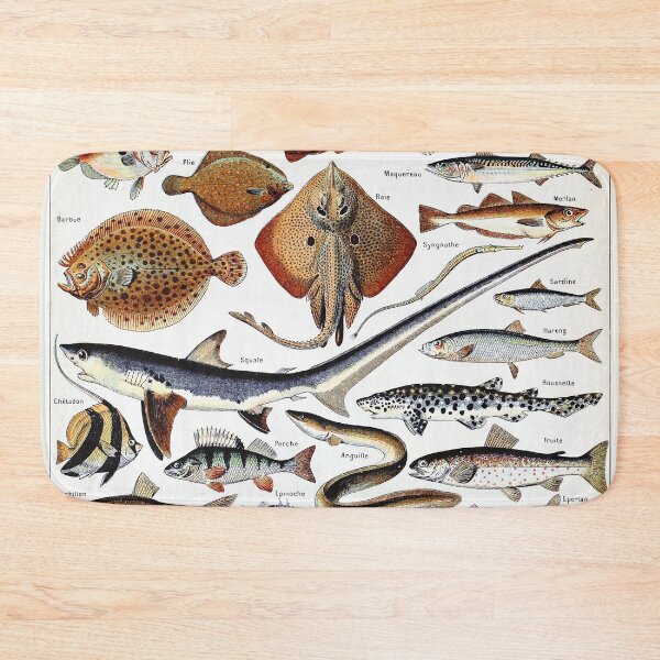 Item preview, Adolphe Millot - Poissons B - French vintage nautical poster designed and sold by DejaVuStudio.