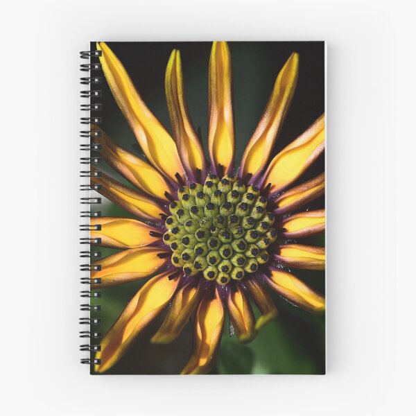 Item preview, Flower (MKW-F.132) designed and sold by Katrina Morgan.