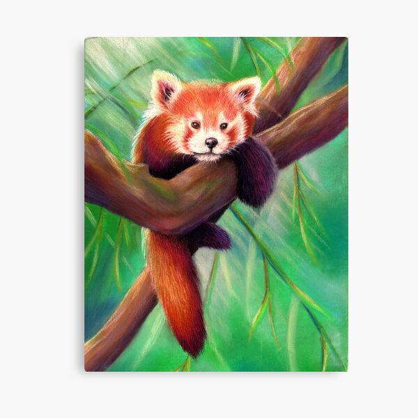Playful Red Panda | Animal Art Canvas Print