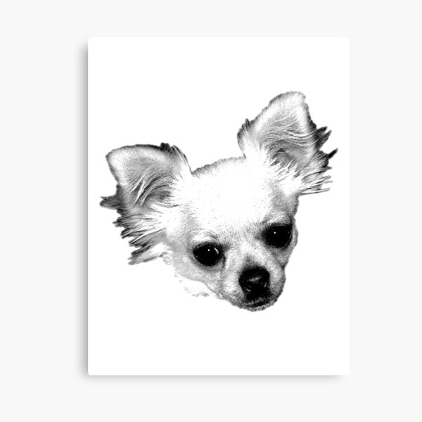 Chihuahua Dog Picture Engraving Canvas Print
