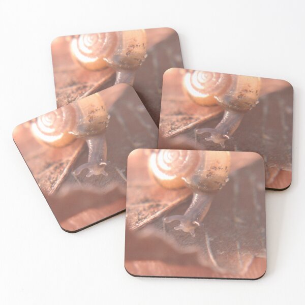 Item preview, Snail looking down designed and sold by SariePhotograph.