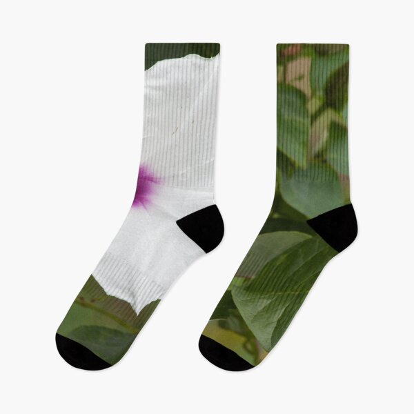 Item preview, White Morning Glory Open to the sunshine designed and sold by Allen Penton.