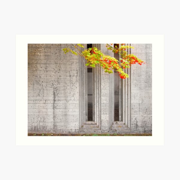 Scarpa. Brion Cemetery Art Print