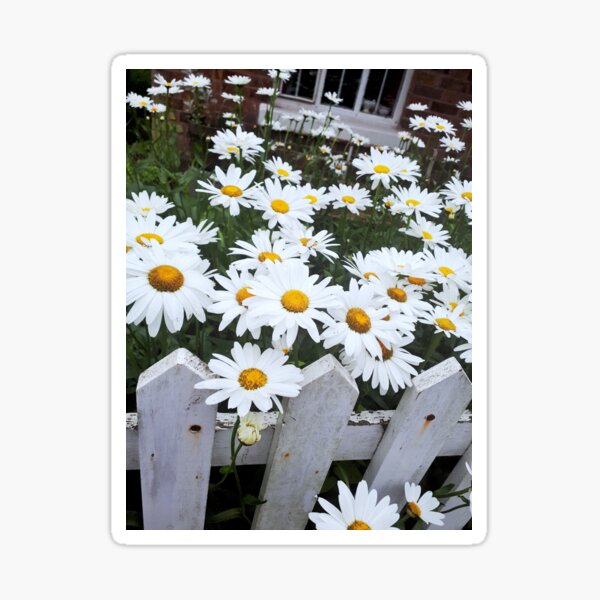Item preview, White Picket Fence Print designed and sold by Kova  Rose.
