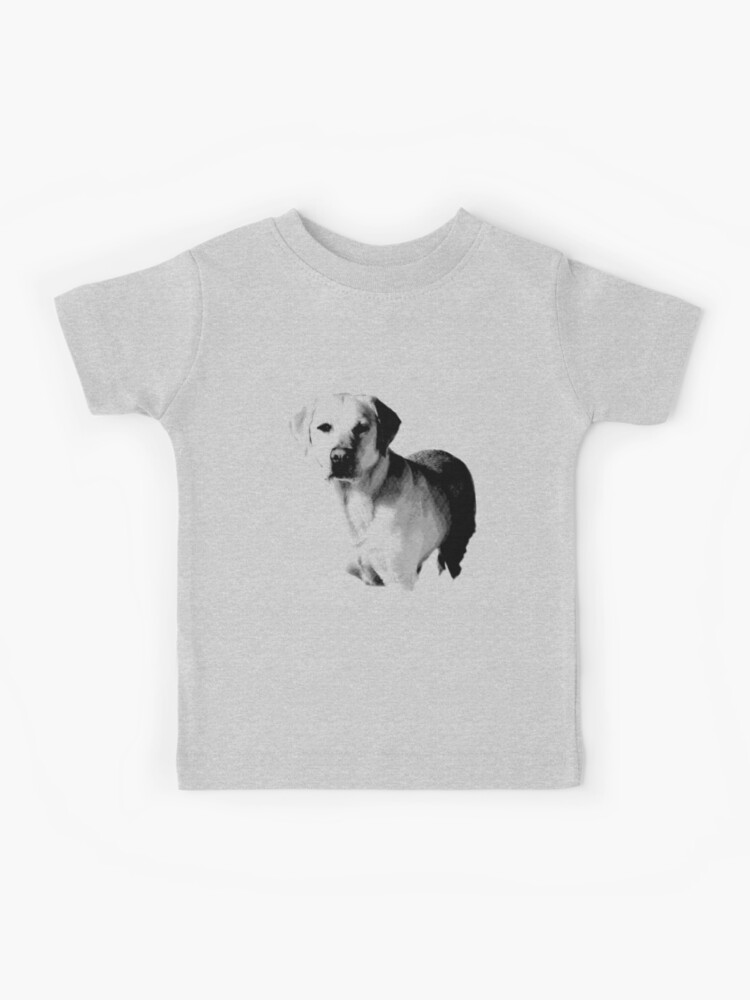 labrador t shirt for dogs