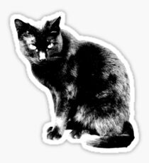 Black Cat. Halloween Black Cat. Sticker