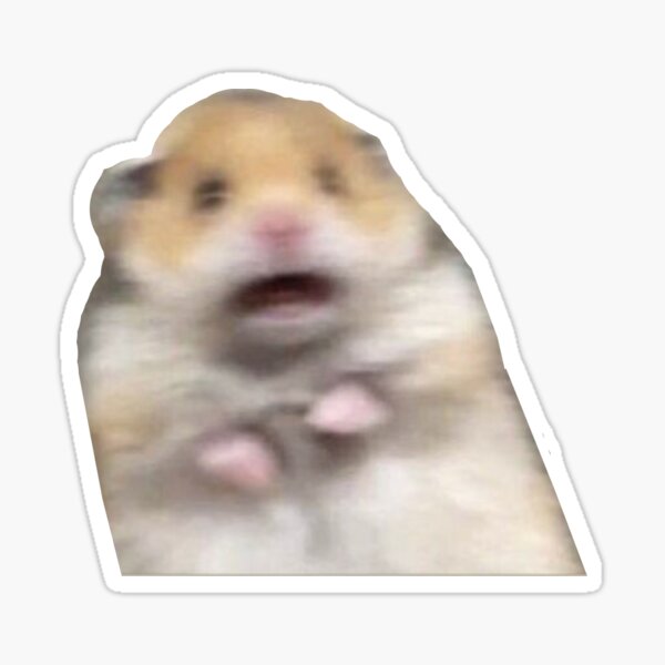 Scared Hamster Meme Stickers | Redbubble